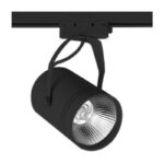 ACK AD30-01931 6500K Beyaz 30W Siyah Kasa Cob Led Ray Spot