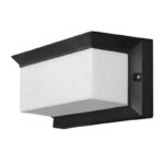 ACK AG55-06221 60W E27 Lunar Pc Bahçe Duvar Apliği